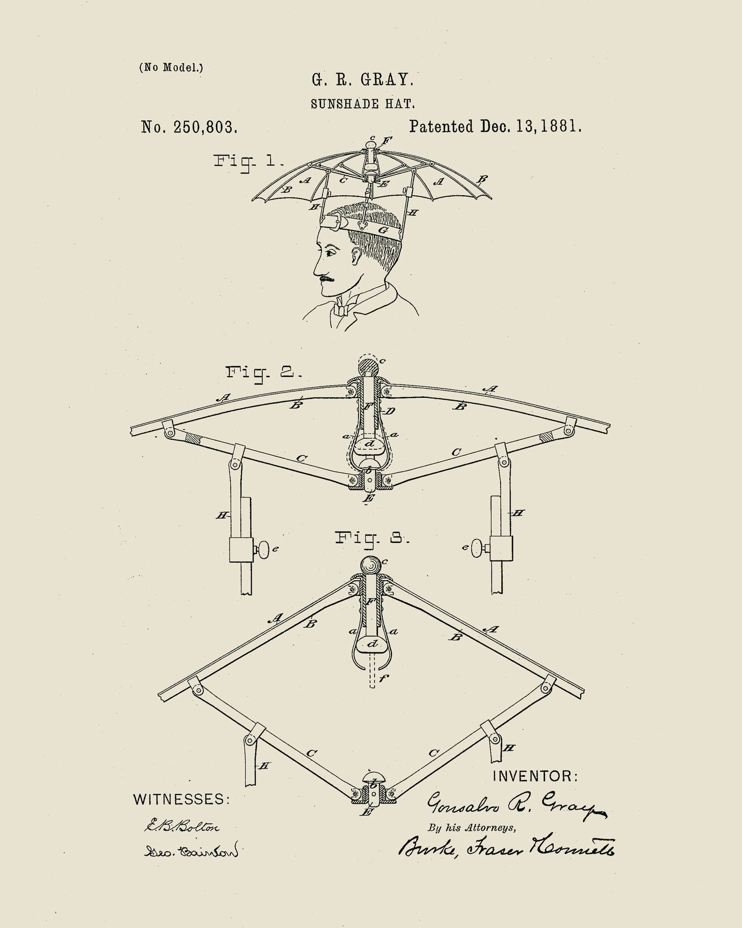 1881 Sun Shade