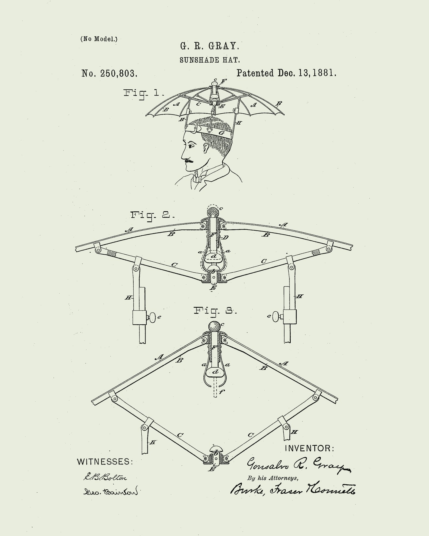 1881 Sun Shade